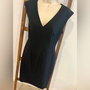 White House Black Market Sleeveless Stretch Sheath Dress V-neck Size 10 career